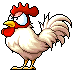 White Chicken